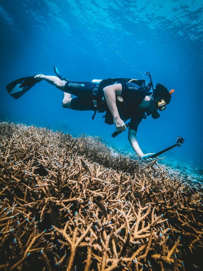 Dpm Koh Tao Diving Hotel & Bar Buitenkant foto